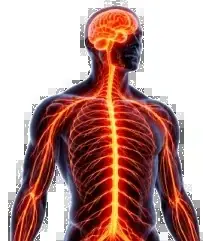 Overactive Nervous System